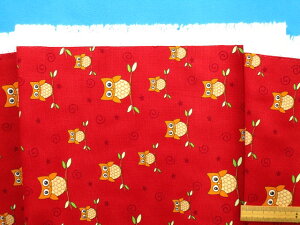 �ȃv�����g�I�b�N�X���n�t�N���E�E��×�I�����W�i110cm���@1m�j