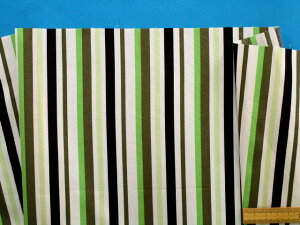 ȃvgXgCvnIt×O×i140cm@1D5mj