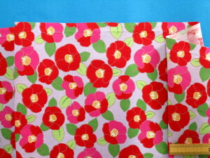 ȃvgnցE×ԁi110cm@2mj