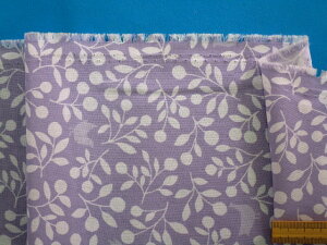 ȃvgng/AE×Iti110cm@2mj