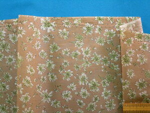 ȃ[vgnԔZx[W×aOi105cm@2mj