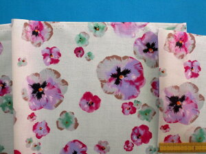 ȃ[vgnԁEIt×Oi105cm@2mj