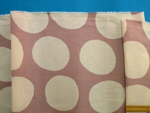 ȃvgnʁEasN×AC{[i110cm@2mj