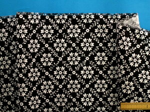 ȃvgnԁE×Iti110cm@2mj