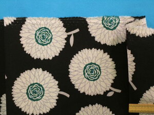 ȖLoXnԁE×Ohhi105cm@1mj