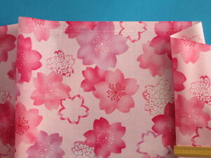 ȃvgnEsN××i105cm@2mj