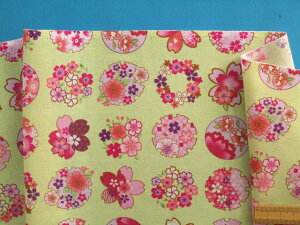 ȃvgnEᑐF×sNi105cm@2mj