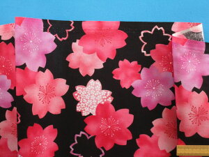 ȃvgnE×sNn×i105cm@2mj