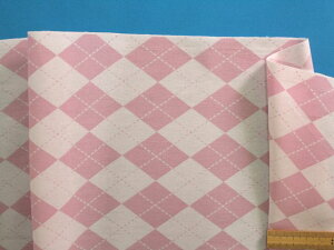 ȃvgnA[KCEIt×sNi110cm@2mj