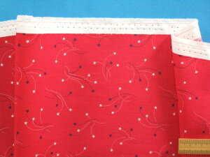 USARbgnE×i110cm@2mj