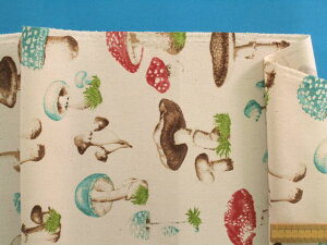 ȃvgIbNXn̂E×ԁhhi110cm@1mj