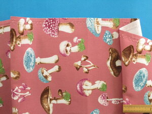 ȃvgIbNXn̂EasNhhi110cm@1mj