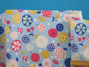 ȃvgIbNXnʕ/ԁEFi110cm@1mj