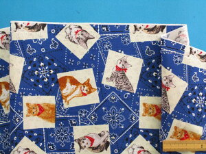 ȃvgnlR/o_iEu[i110cm@2mj