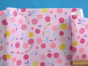 ȃvgIbNXnځEi110cm@1mj