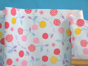 ȃvgIbNXnځEFi110cm@1mj