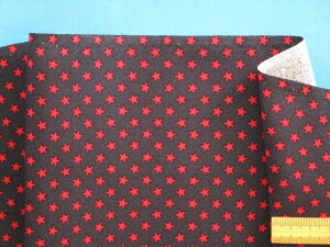 ȃvgnijE×ԁi105cm@2mj