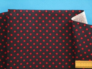 ȃvgnijE×ԁi105cm@2mj