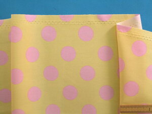 ȃvgIbNXnʁECG[×sNi110cm@1mj