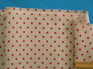 ȖLoXnʁE×ԁi110cm@1mj