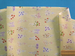 ȃvgnԑECG[ni105cm@2mj