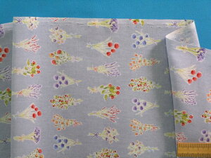 ȃvgnԑEu[O[i105cm@2mj