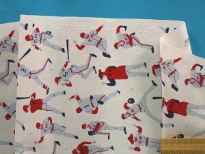 ȃvgn싅EIt×ԁi110cm@2mj