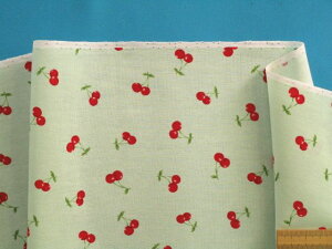 ȃvgnځEO×ԁi105cm@2mj