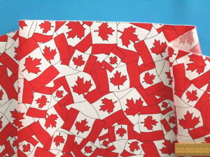 ȃvgnJi_EIt×ԁi110cm@2mj