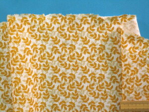 USARbgntEIt×Ri110cm@2mj