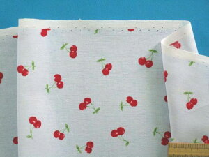 ȃvgnځE×ԁi105cm@2mj
