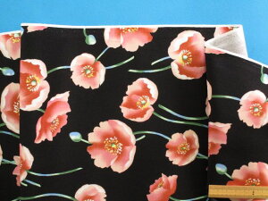 ȃvgIbNXnԁE×sNnhhi110cm@1mj