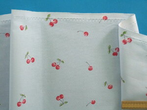 ȃvgnځE×ԁi110cm@2mj