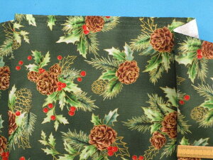 USARbgnA/ڂEZO×i105cm@2mj