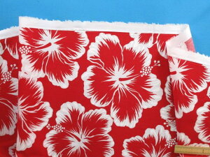 ȃvgnnCrXJXE×Iti110cm@2mj