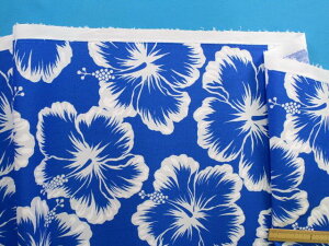 ȃvgnnCrXJXEu[×Iti110cm@2mj