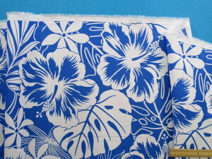 ȃvgnnCrXJX/Xeu[×Iti110cm@2mj