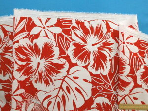 ȃvgnnCrXJX/Xe×Iti110cm@2mj