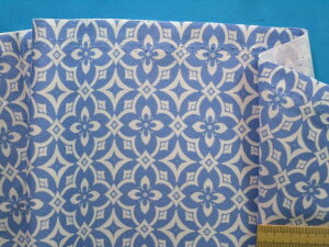 ȃvgIbNXnԁEIt×u[i110cm@1mj