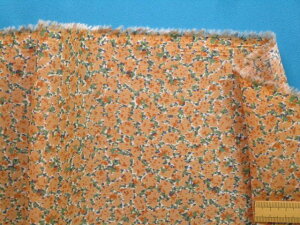 ȃ[vgnAEIW×Oi105cm@2mj