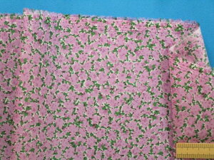 ȃ[vgnAEsN×Oi105cm@2mj