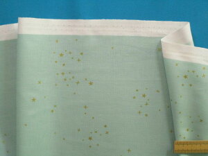 USARbgnEO×i110cm@2mj