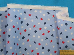 ȃvgnE×ԁi110cm@2mj