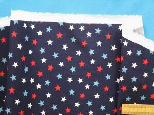 ȃvgnE×ԁi110cm@2mj