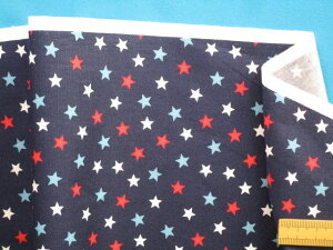 ȃvgV[`OniACڒjE×ԁi110cm@2mj