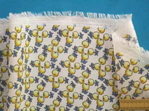 vgW[[bgnAEIt×CG[i110cm@2mj