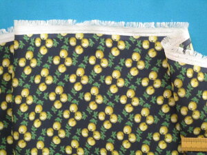 vgW[[bgnAE×CG[i110cm@2mj