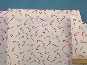 USARbgnLfB[XebLEIt×ԁi110cm@2mj