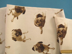 ȃvgIbNXnpOE×Zx[Wi110cm@1mj