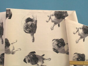 ȃvgIbNXnpOE×O[i110cm@1mj